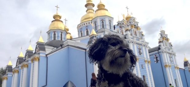 Taking your dog to Ukraine